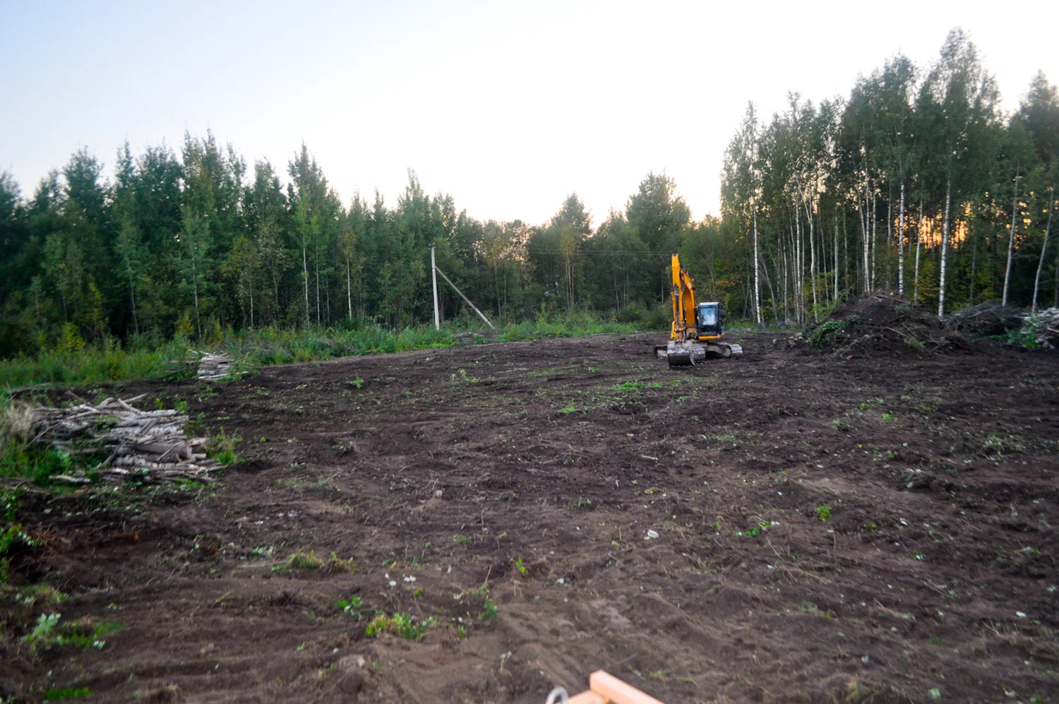 Когда может потребоваться услуга по расчистке участка_img